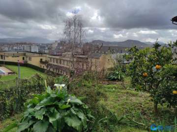 Jardín